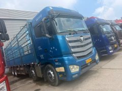 Foton Auman EST 490 hp 8X4 9.56 m - ფოტო 3