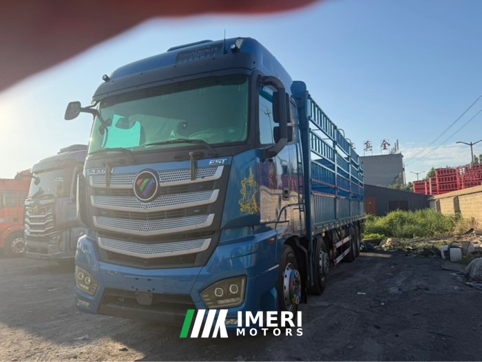 Foton Auman EST 490 hp 8X4 9.56 m - სატვირთო ჩინეთიდან