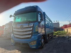 Foton Auman EST 490 hp 8X4 9.56 m - ფოტო 1