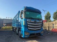 Foton Auman EST 490 hp 8X4 9.56 m - ფოტო 3
