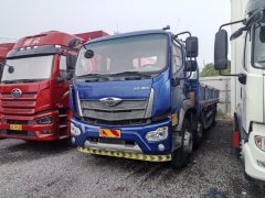 Foton Rowor ES7 270 hp 8X2 8.8 m - photo 2