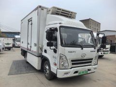 Hyundai EV 4.2 m - ფოტო 2