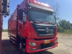 Dongfeng Tianjin KR PLUS 290 hp 4X2 6.8 m - ფოტო 2