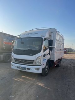 Hyundai 300 143 hp 4X2 4.18 m - ფოტო 1