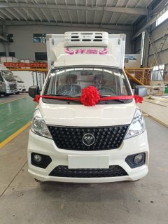 Foton V1 122 hp 4X2 2.8 m - ფოტო 2