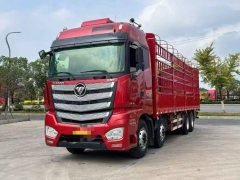 Foton Auman EST 510 hp 8X4 9.53 m - ფოტო 1