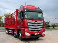 Foton Auman EST 510 hp 8X4 9.53 m - ფოტო 2