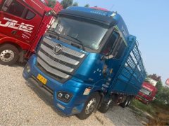Foton Auman EST 490 hp 8X4 9.56 m - photo 1