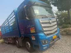 Foton Auman EST 490 hp 8X4 9.56 m - photo 3