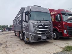 Foton Auman GTL Xingyi Edition 360 hp 6X2 9.53 m - ფოტო 2