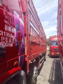Foton Auman GTL Xingyi Edition 360 hp 6X2 9.56 m - ფოტო 4