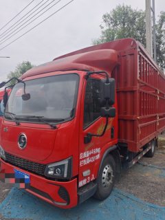 Shacman Delong G200 155 hp 4X2 4.18 m - ფოტო 1