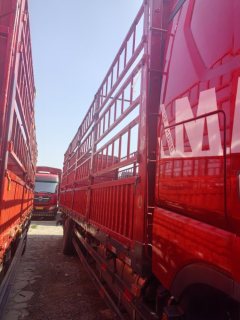 Sinotruk HOWO Max 290 hp 4X2 9.6 m - ფოტო 4