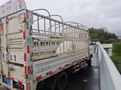 Foton Xianglin M2 116 hp 4X2 3.7 m - photo 4