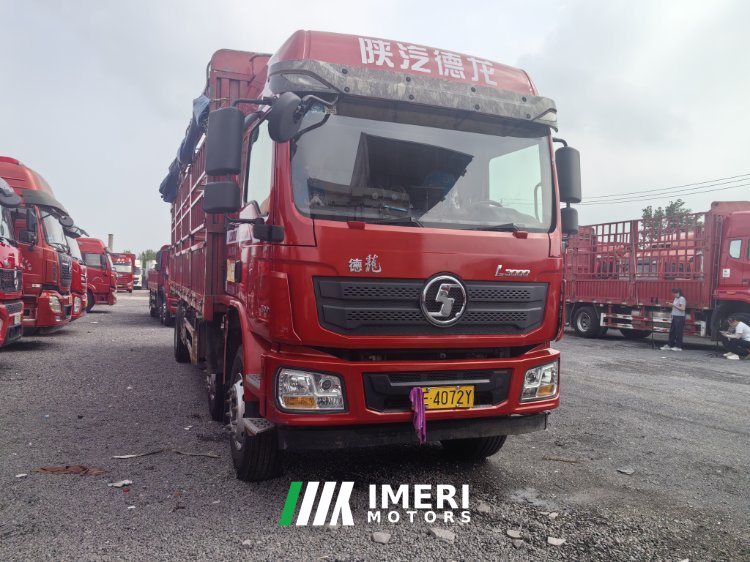 Shacman Delong L3000 245 hp 6X2 7.9 m - სატვირთო ჩინეთიდან