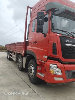 Dongfeng Tianlong 350 hp 8X4 9.6 m - ფოტო 2