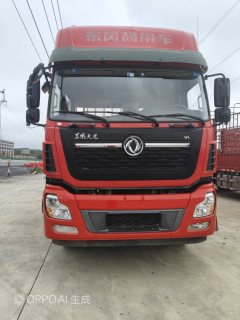 Dongfeng Tianlong 350 hp 8X4 9.6 m - ფოტო 3