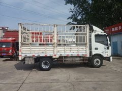 Tangjun Ouling T7 129 hp 4X2 4.1 m - ფოტო 5