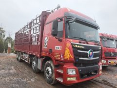 Foton Auman GTL 360 hp 8X4 9.6 m - ფოტო 1