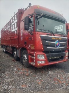 Foton Auman GTL 360 hp 8X4 9.6 m - ფოტო 2