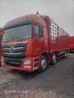Foton Auman GTL 360 hp 8X4 9.6 m - ფოტო 3