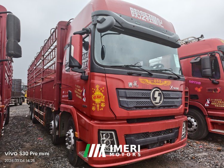 Shacman Delong X3000 375 hp 8X4 9.55 m - სატვირთო ჩინეთიდან