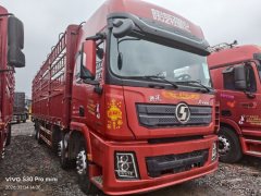 Shacman Delong X3000 375 hp 8X4 9.55 m - ფოტო 1
