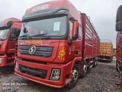 Shacman Delong X3000 375 hp 8X4 9.55 m - ფოტო 2