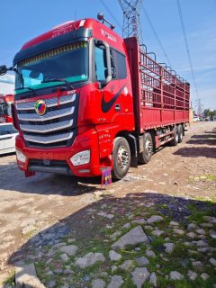 Foton Auman EST 510 hp 8X4 9.6 m - ფოტო 1