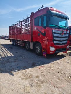 Foton Auman EST 510 hp 8X4 9.6 m - ფოტო 6