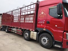 Dongfeng Liuzhou Chenglong H7 350 hp 8X4 9.6 m - photo 6