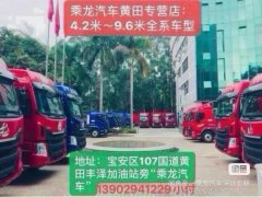Dongfeng Liuzhou Chenglong H5V - photo 5