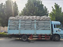 Shacman Delong L5000 300 hp 4X2 6.8 m - photo 3