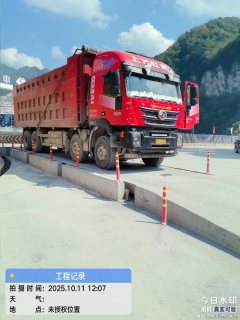 SAIC Hongyan Genlyon 520 hp 8X4 8.3 m - фото 2