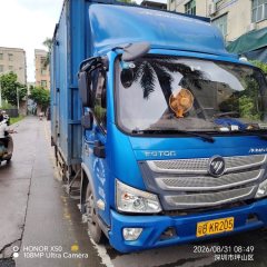 Foton Aumark S3 130 hp 4X2 4.2 m - photo 3