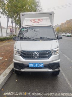 Dongfeng W08 91 hp 4X2 2.7 m - ფოტო 3