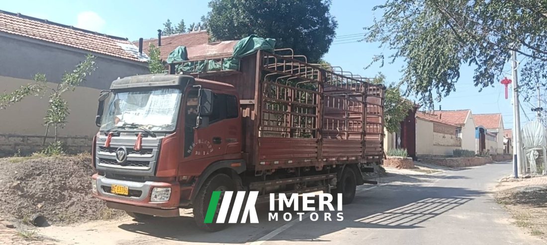 Foton Rowor Q5 168 hp 4X2 6.7 m - truck from China