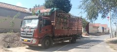 Foton Rowor Q5 168 hp 4X2 6.7 m - photo 1