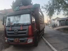 Foton Rowor Q5 168 hp 4X2 6.7 m - photo 3