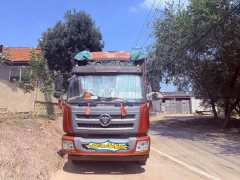 Foton Rowor Q5 168 hp 4X2 6.7 m - photo 4