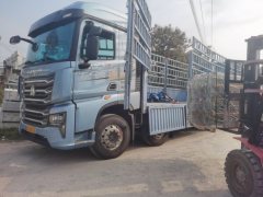 Sinotruk HOWO TS7 460 hp 8X4 9.6 m - ფოტო 2