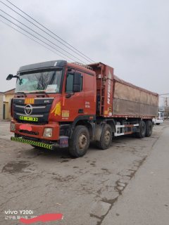 Foton Auman GTL 400 hp 8X4 8.2 m - ფოტო 1