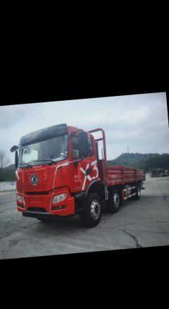 Dongfeng X3 290 hp 6X2 7.8 m - photo 3