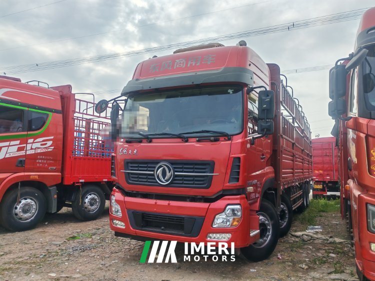 Dongfeng Tianlong 450 hp 8X4 9.4 m - სატვირთო ჩინეთიდან