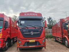 Dongfeng Tianlong KL 465 hp 8X4 9.4 m - фото 3