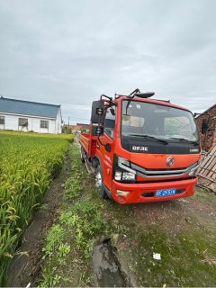 Dongfeng Duolika Dollicar D6 136 hp 4X2 4.2 m - ფოტო 3