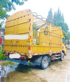Dayun New Opry 156 hp 4X2 3.85 m - photo 3