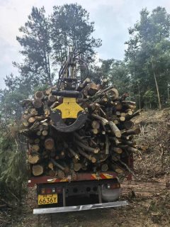 MAN H5 180 hp 4X2 4.3 m - ფოტო 4