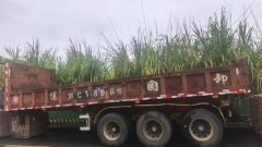 9.00 m x2.55 m 3 semi-trailer - ფოტო 3