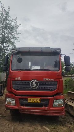 Shacman Delong F3000 300 hp - ფოტო 2